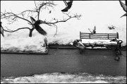0431-3.jpg 0431-3.jpg
