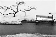0431-4.jpg 0431-4.jpg