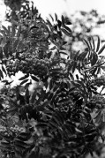 05210023-23.jpg