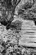 05210025-25.jpg