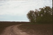 13430019.JPG 13430019.JPG