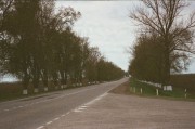 13430020.JPG 13430020.JPG