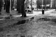IhageFoma40079935mm.jpg