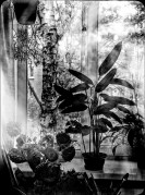 Resizer_17179604206601.jpeg