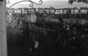Z6_I50_PPF40_Oct_2013567.JPG