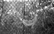 Z6_I50_PPF40_Oct_2013568.JPG