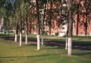 18-_Trees2.jpg 18-_Trees2.jpg