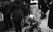 20121105049.jpg 20121105049.jpg