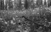 DSC_6965.jpg DSC_6965.jpg
