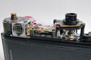 DSC_8403_S.jpg