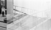 IMG3339-0m.jpg