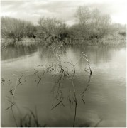 L1028103.jpg