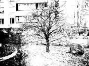 R0011173.jpg