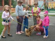 dog2.jpg