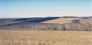 img217-3.jpg