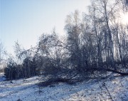 img218-1.jpg