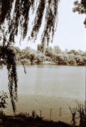 000012_23.JPG 000012_23.JPG