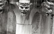 00536.JPG 00536.JPG