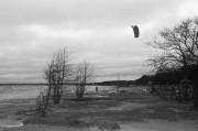 03710.jpg 03710.jpg