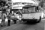 0387.jpg 0387.jpg