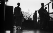 03910.jpg