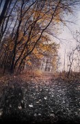 100_2023513.jpg 100_2023513.jpg