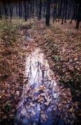 100_2023527.jpg 100_2023527.jpg