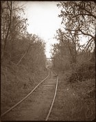 10619.jpg 10619.jpg