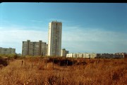 11385.jpg 11385.jpg