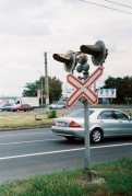 15135.jpg 15135.jpg