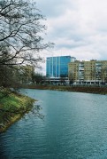 21031.JPG 21031.JPG