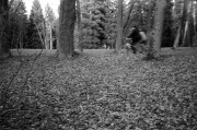 21203.jpg 21203.jpg