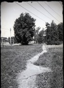 21241.jpg 21241.jpg