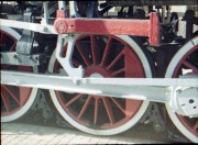 21253.jpg