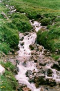 2146.jpg 2146.jpg