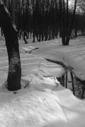 2_25_000015.jpg 2_25_000015.jpg