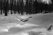 2_25_000016.jpg 2_25_000016.jpg
