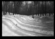 2_25_000018.jpg 2_25_000018.jpg