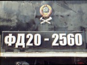 3962.jpg