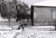 7158.jpg