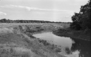 DSC_6637.jpg