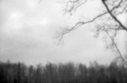 IMG01211.jpg IMG01211.jpg
