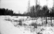 IMG01515.jpg