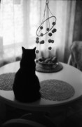 IMG_0020.jpg IMG_0020.jpg