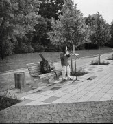 IMG_3957.jpeg IMG_3957.jpeg