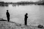 IMG_7111.JPG IMG_7111.JPG