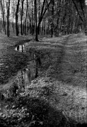 Scan-170507-0011.jpg Scan-170507-0011.jpg