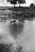 Scan-170627-0003_.jpg Scan-170627-0003_.jpg
