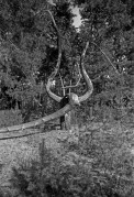 Scan-170829-0007_.jpg