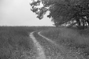 Scan-171103-0025.jpg